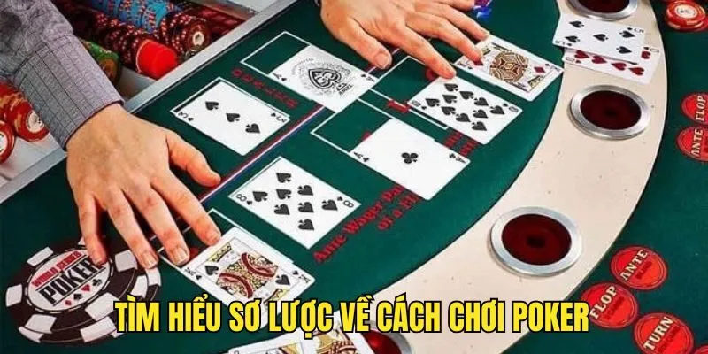 Cách Chơi Poker - Điểm Danh TOP Mẹo Hay Từ Cao Thủ SUNWIN