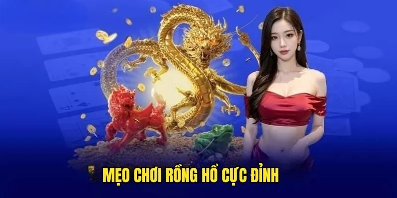 Khám Phá Rồng Hổ - Siêu Phẩm Triệu Đô Không Thể Bỏ Lỡ