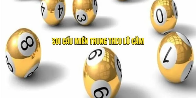 Soi Cầu Miền Trung Là Điều Cần Thiết Để Dành Được Thưởng