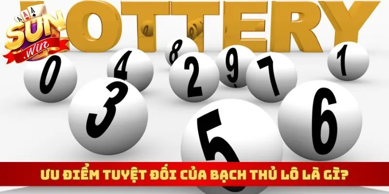 Ưu điểm tuyệt đối của bạch thủ lô là gì?
